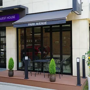 Park Avenue Hostel
